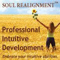Soul Realignment: Professional Intuitive Development
